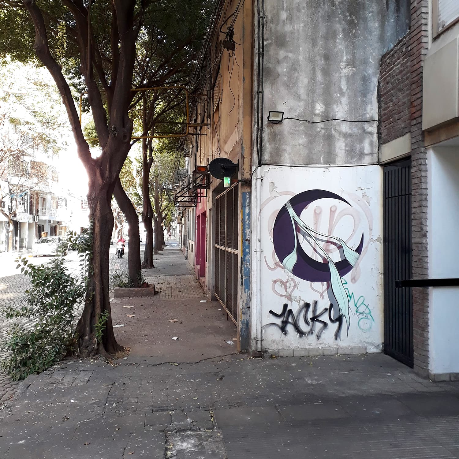 zeballos - 2023 - Imagen 2