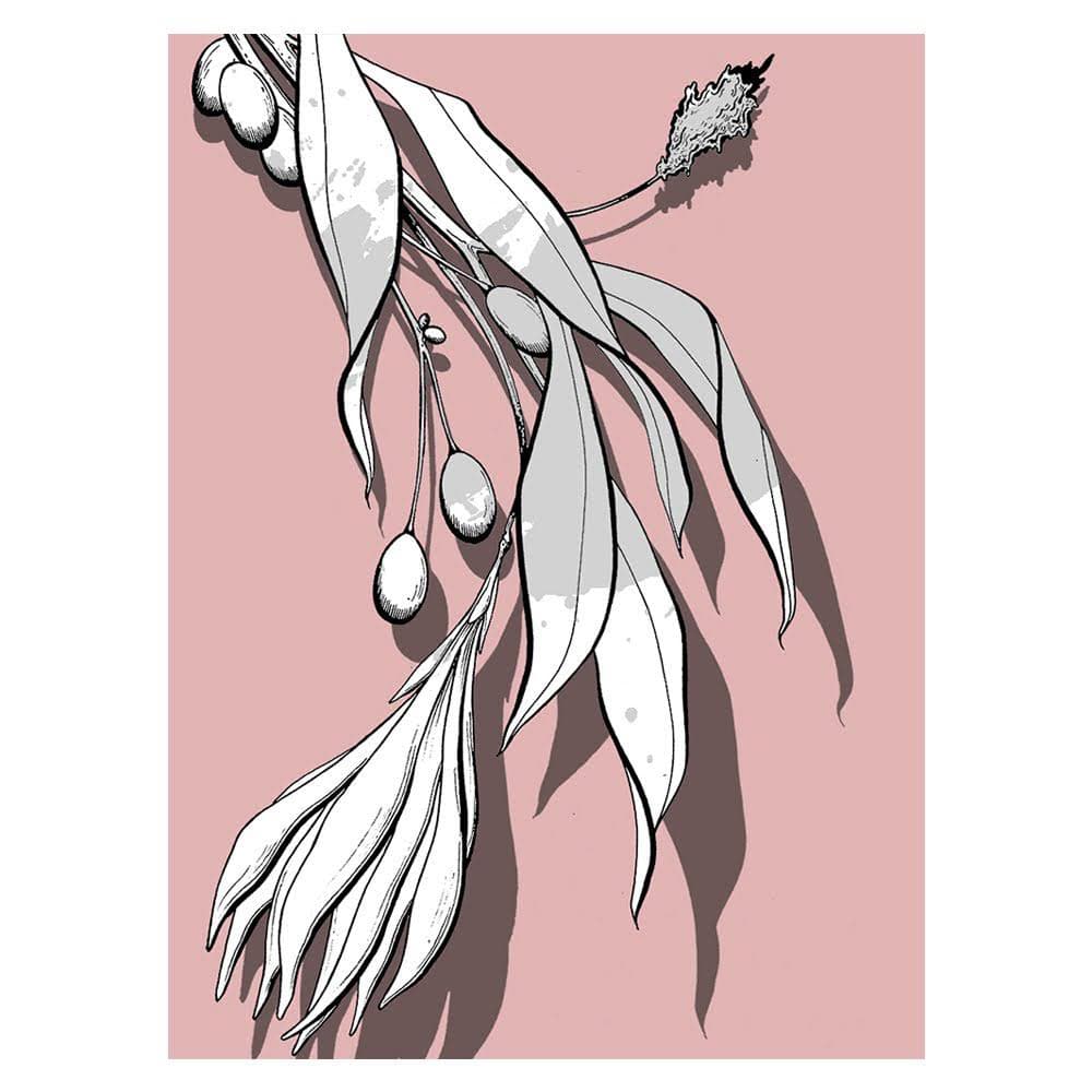 Serie de la Tierra - 2